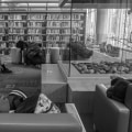 The Essential Role of Libraries in Supporting Writers in Minneapolis, MN